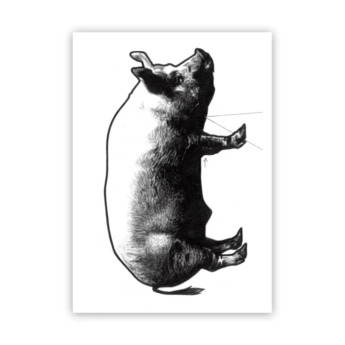 Marco Filicio Marinangeli - Eating 1