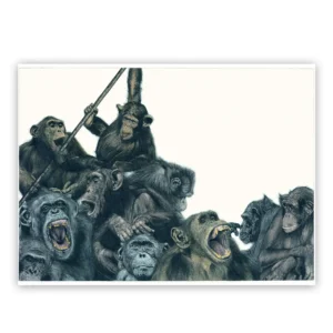 Marco Filicio Marinangeli - Il Coccodrillo 06