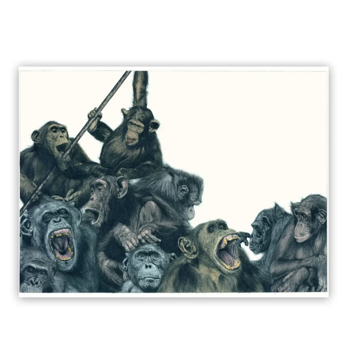 Marco Filicio Marinangeli - Il Coccodrillo 06