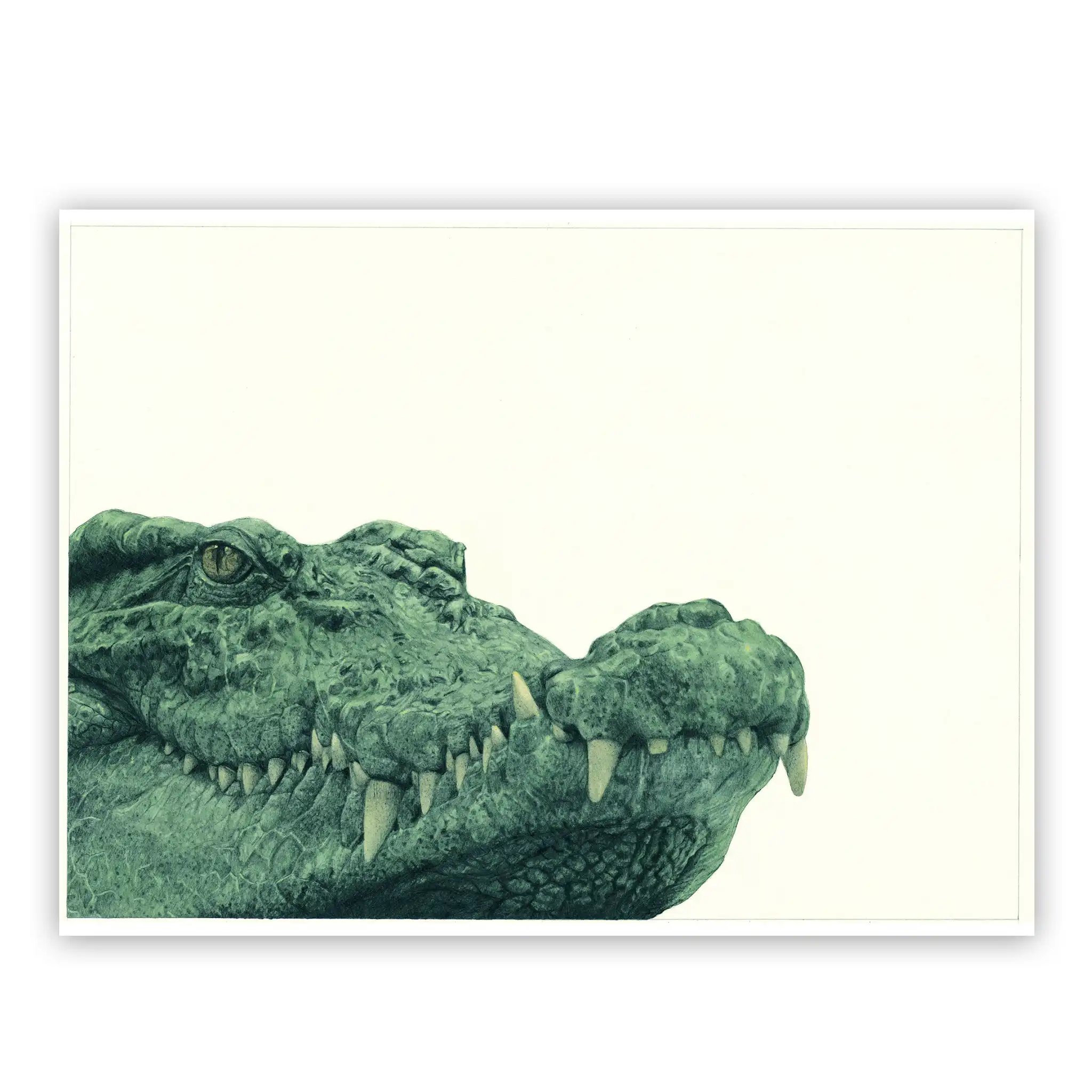 Marco Filicio Marinangeli - Il Coccodrillo 21