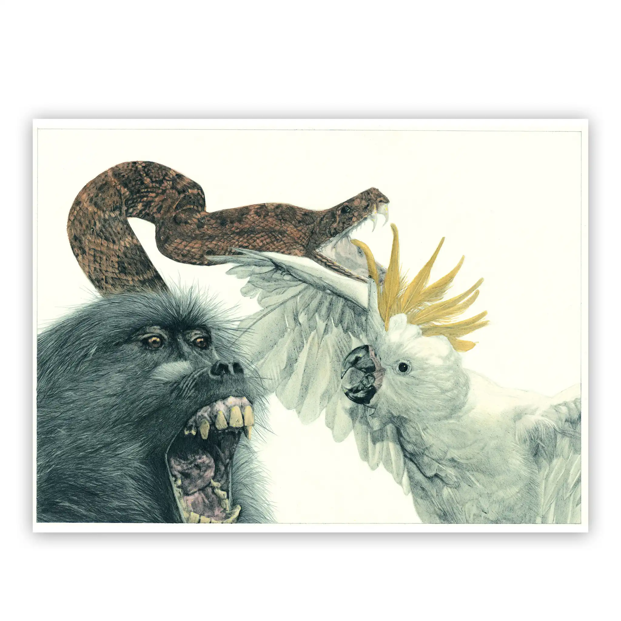 Marco Filicio Marinangeli - Il Coccodrillo 27