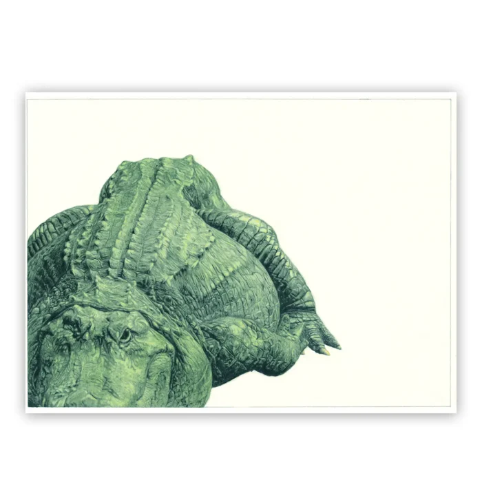 Marco Filicio Marinangeli - Il Coccodrillo 28