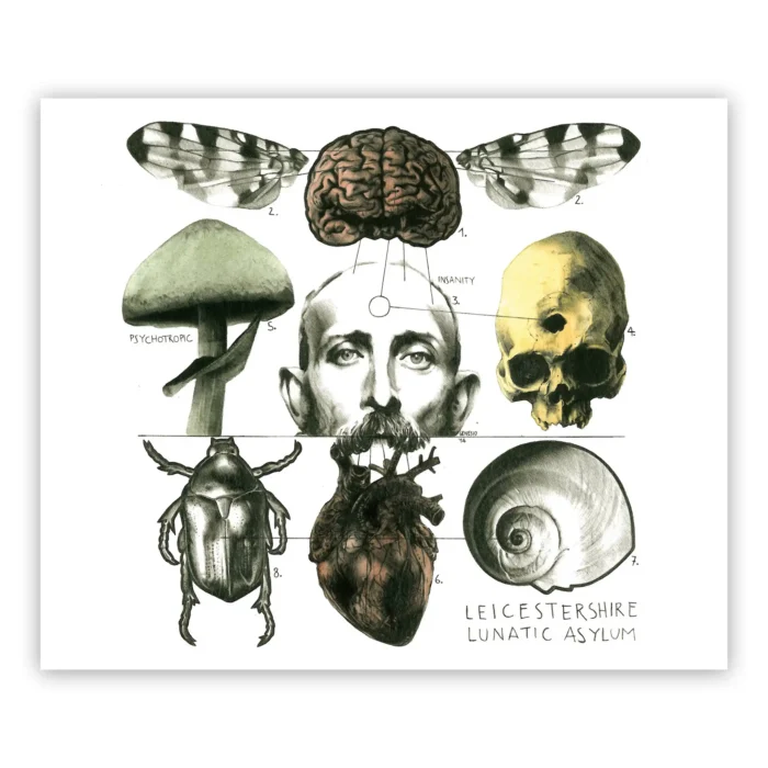 Marco Filicio Marinangeli - Leicestershire lunatic asylum