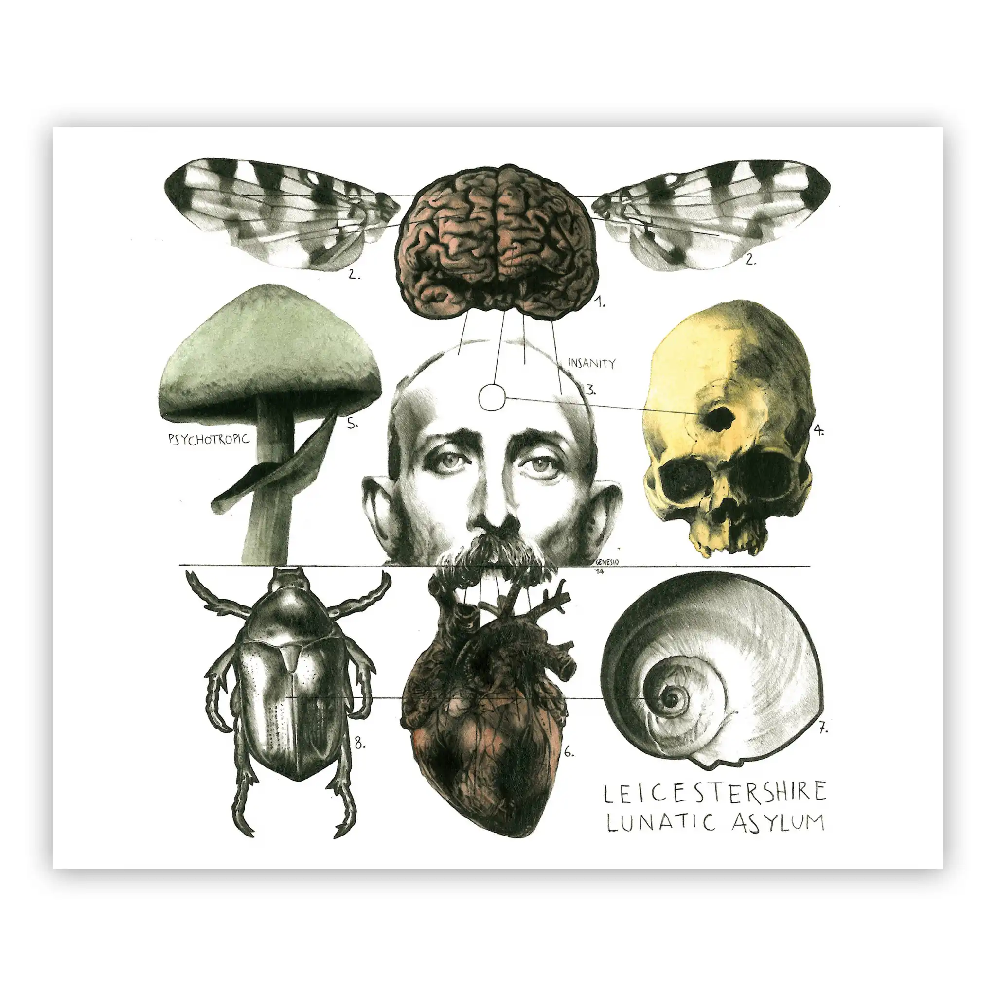 Marco Filicio Marinangeli - Leicestershire lunatic asylum