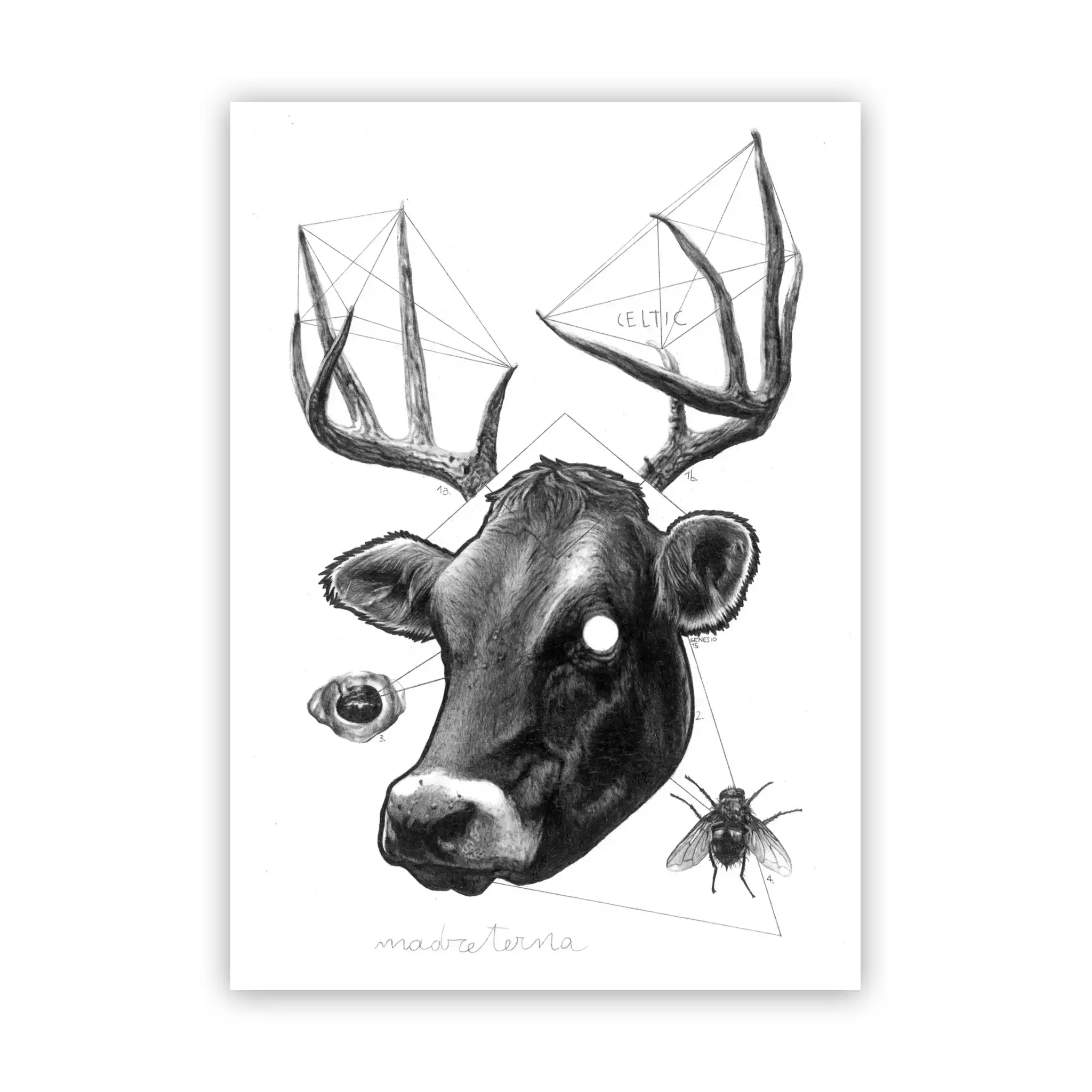 Marco Filicio Marinangeli - Madreterna