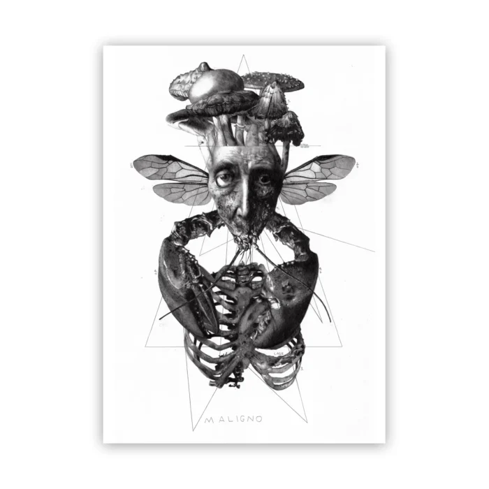 Marco Filicio Marinangeli - Maligno