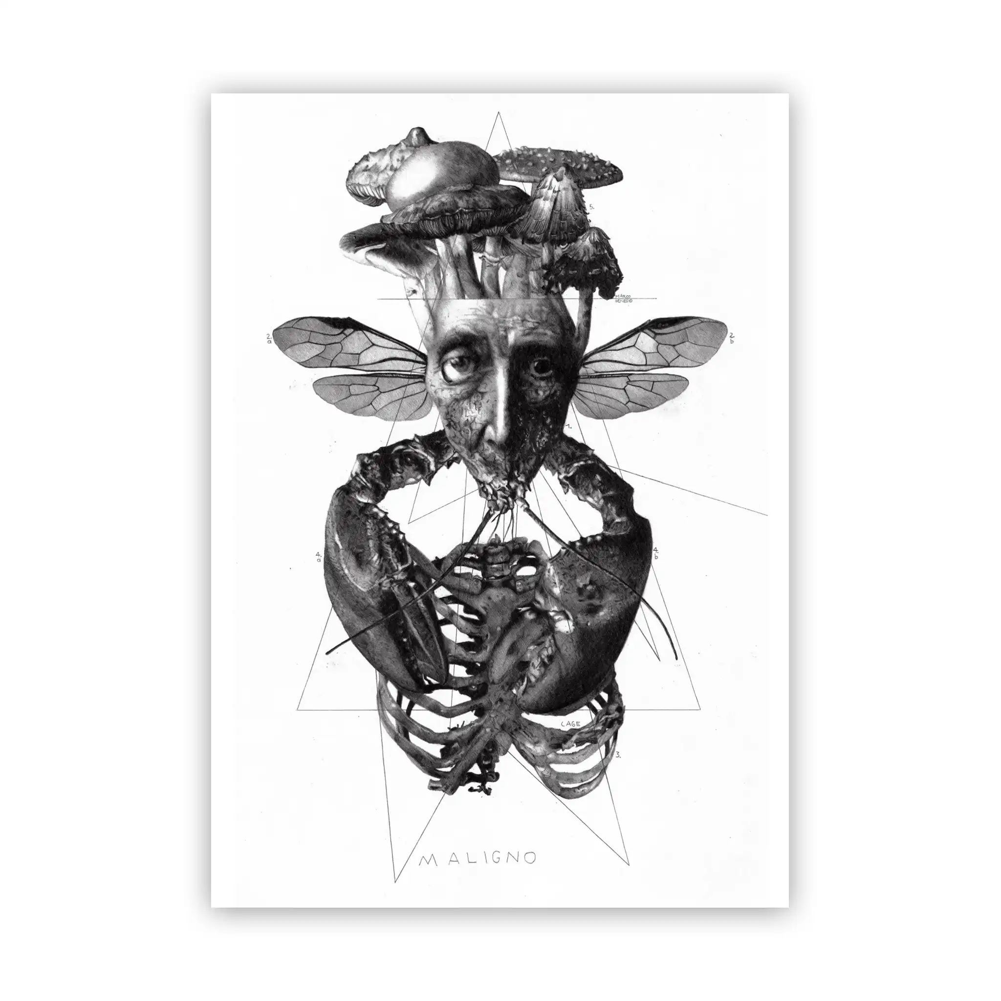 Marco Filicio Marinangeli - Maligno