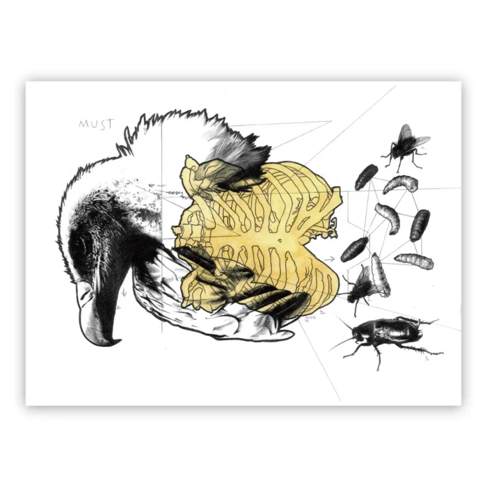 Marco Filicio Marinangeli - Must