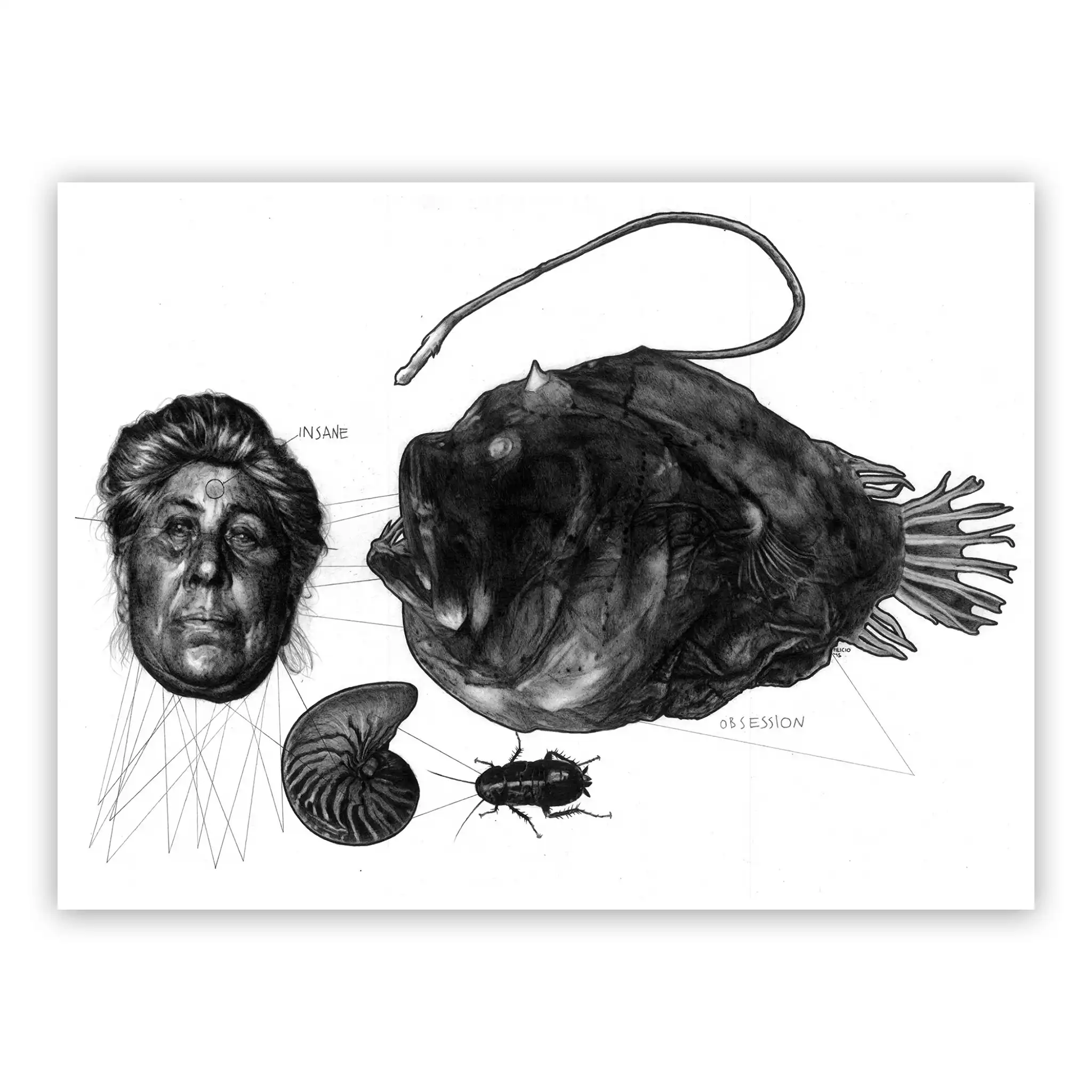 Marco Filicio Marinangeli - Obsession