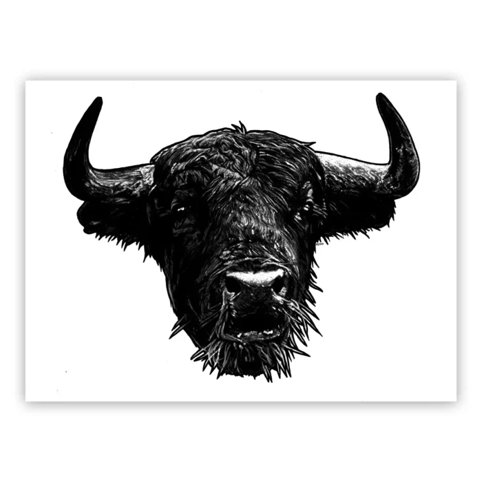 Marco Filicio Marinangeli - Olè