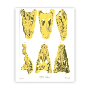 Marco Filicio Marinangeli - Coccodrillo