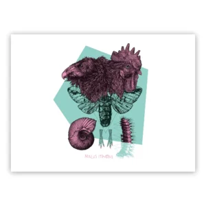 Marco Filicio Marinangeli - Malus Itineris - Color