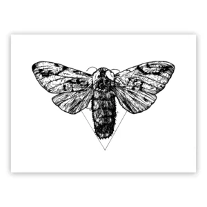 Marco Filicio Marinangeli - Malus Itineris - Falena