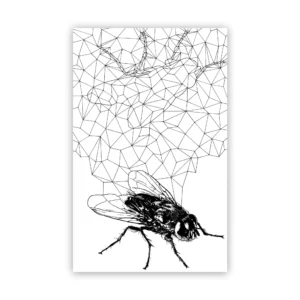 Marco Filicio Marinangeli - Mosca