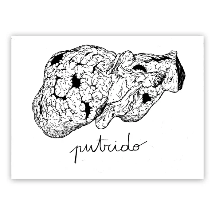 Marco Filicio Marinangeli - Putrido - Fegato