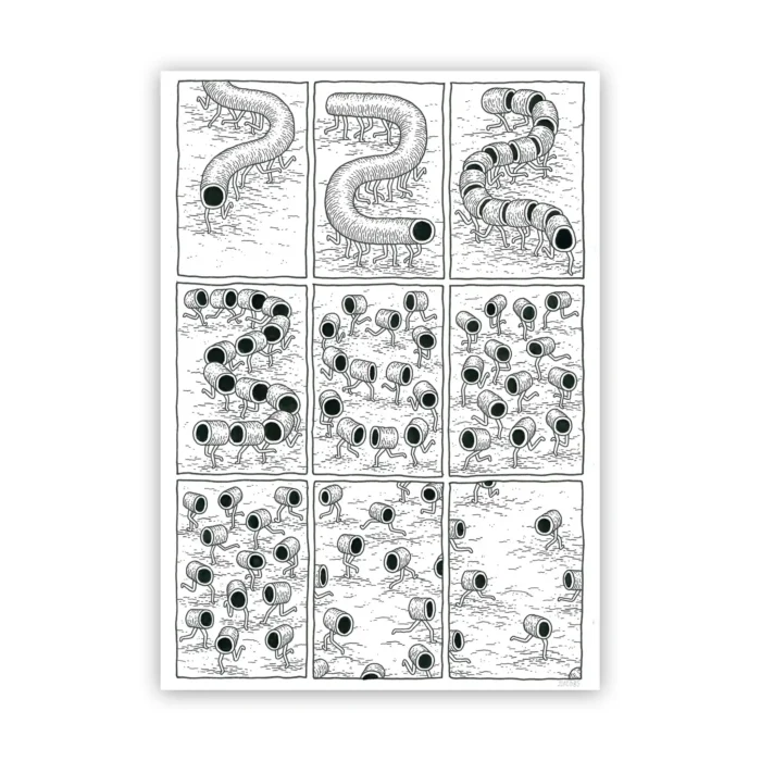 Jesse Jacobs - Safari Honeymoon #37