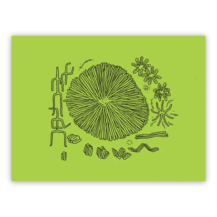 Jesse Jacobs - Schizzo Verde #4