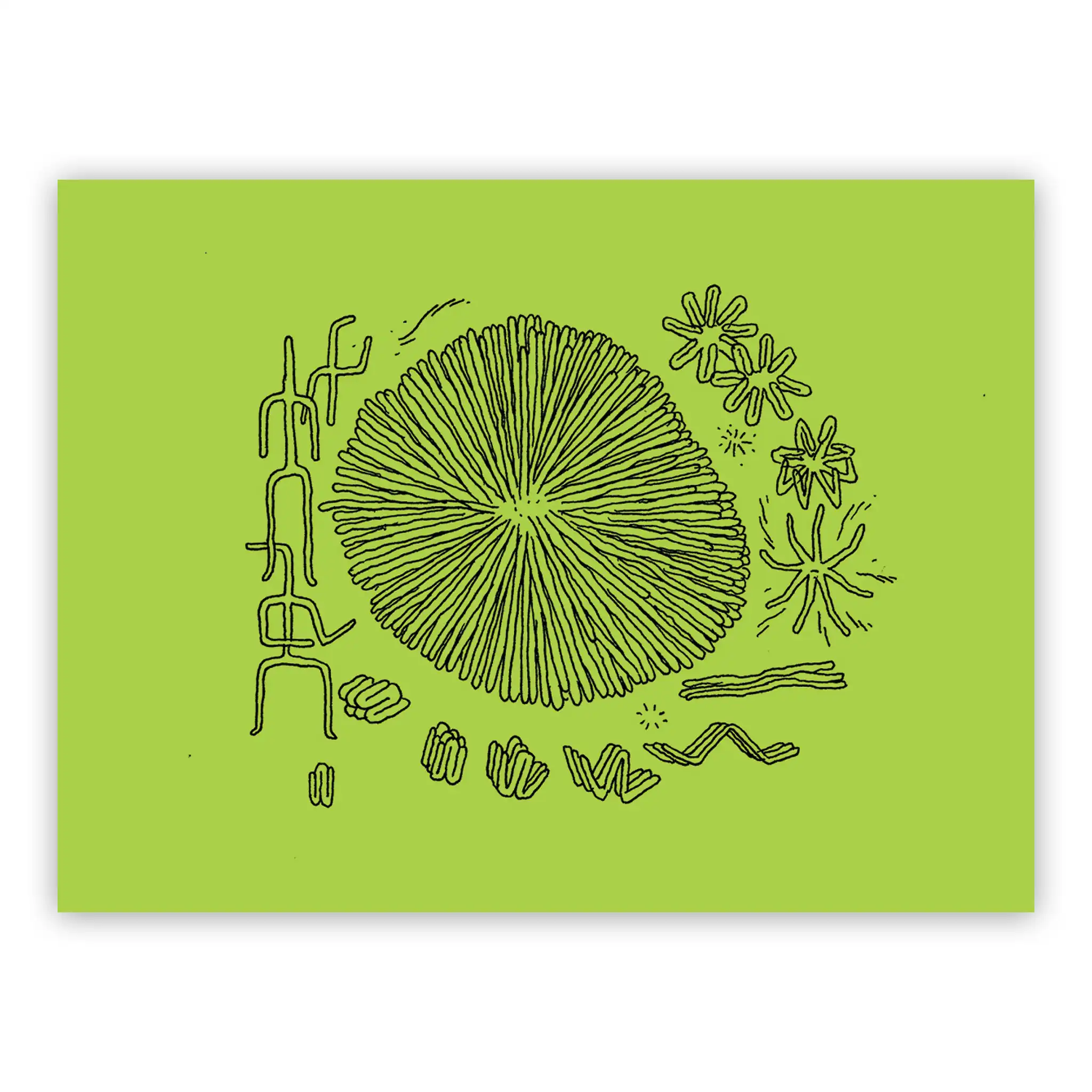 Jesse Jacobs - Schizzo Verde #4